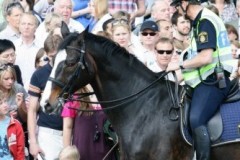IMG_4972