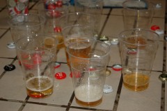 DSC_5376-Large
