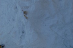 DSC_6792-Large