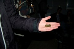 DSC_9884
