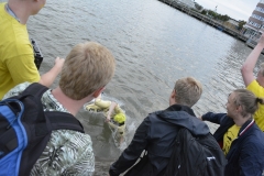 DSC0733