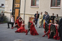 DSC0149