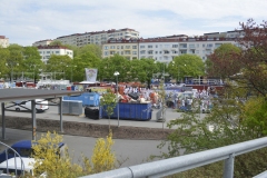 DSC0251
