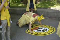 DSC0049