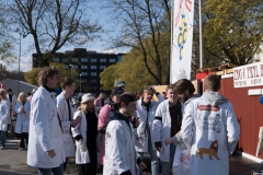 CortegeDag8-28