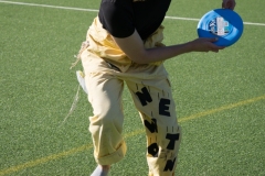 ED-Brannboll-21
