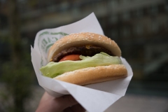 Espottgrill-Ovningshafv-88