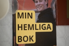 Bastusittningen-45