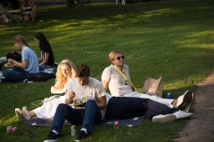TGSNE-PickNick-17