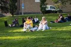 TGSNE-PickNick-2