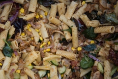 TGSNE-PickNick-22