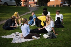 TGSNE-PickNick-26