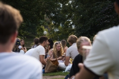 TGSNE-PickNick-27