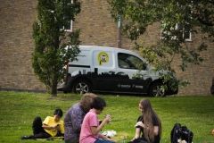 TGSNE-PickNick-41