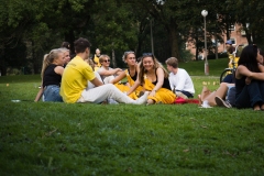 TGSNE-PickNick-43