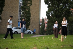 TGSNE-PickNick-45
