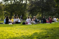 TGSNE-PickNick-5