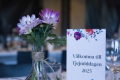 Tjejmiddagen-4