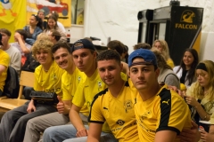 Nollpoquarlen00338