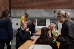 tduEllen00035